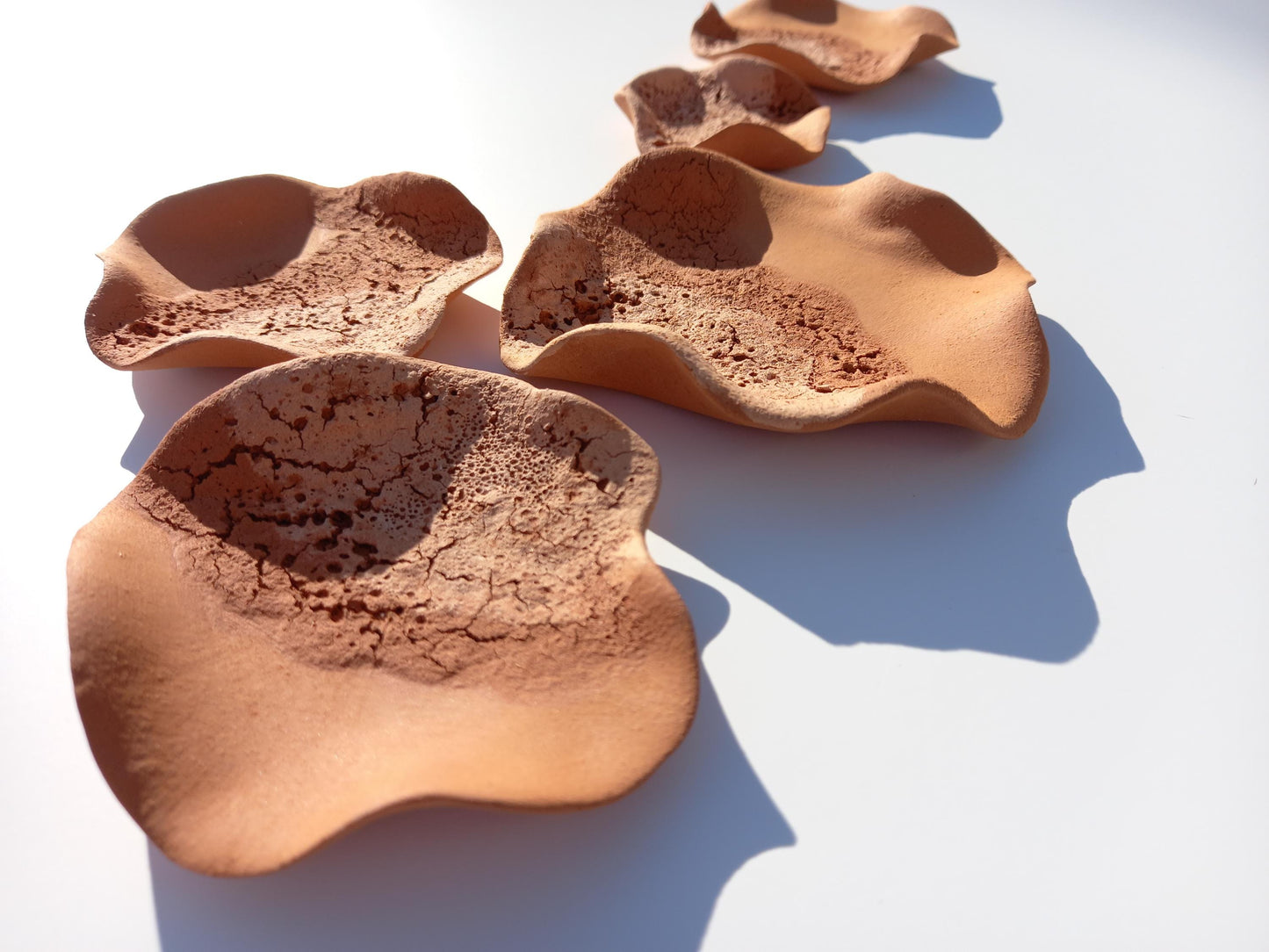 Beige & Terracotta Ceramic Flower Wall Art: Large Sculpture Set, Made to Order