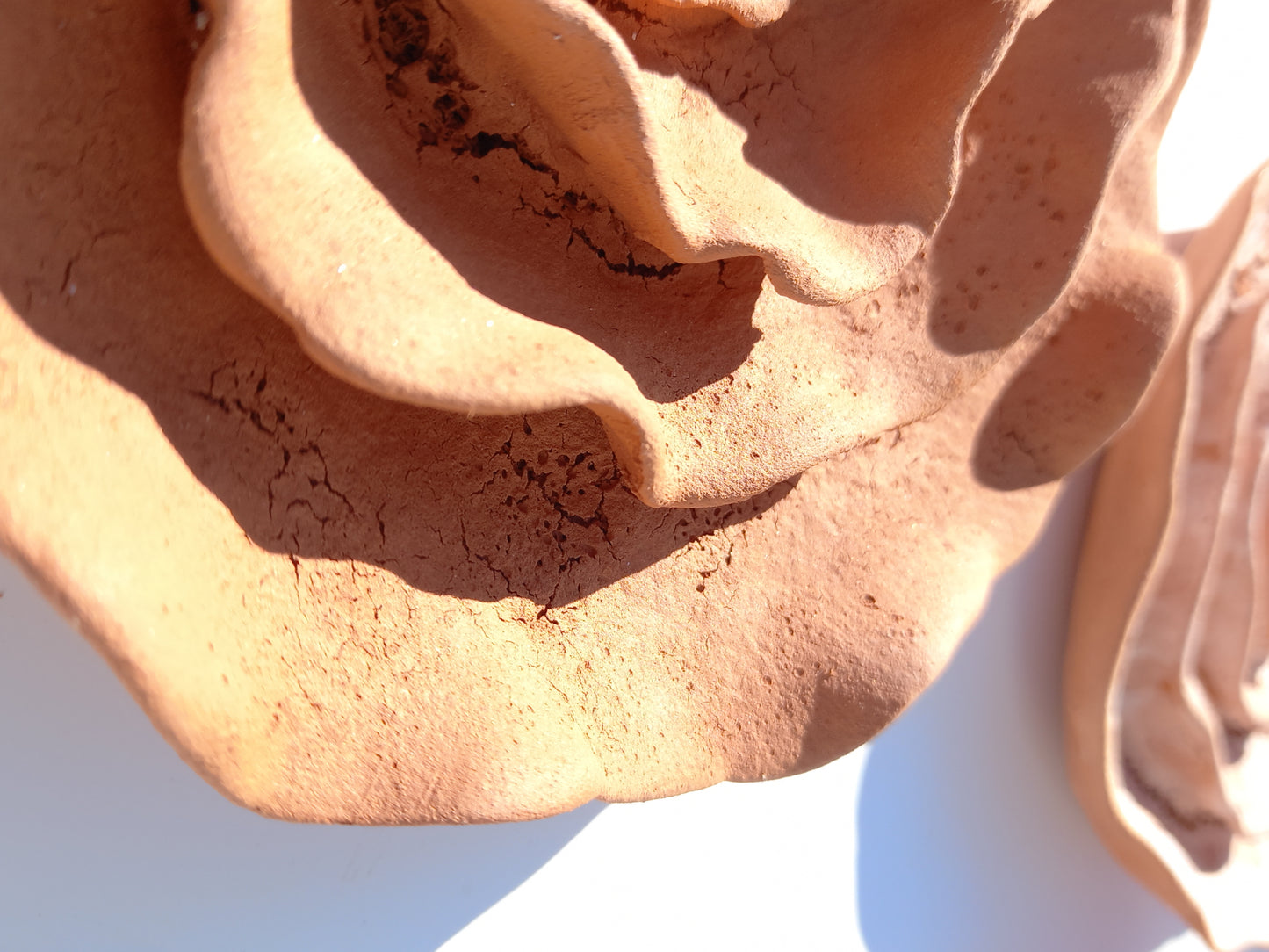 Terracotta Ceramic Flowers: Wall Art Sculpture Set, Made to Order