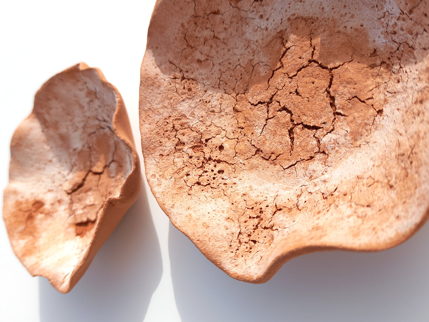Handmade Terracotta Tulip Wall Sculpture: Earthy Ceramic Tile Art