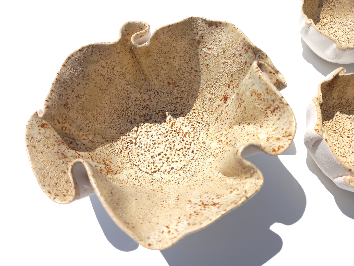 Handmade Ceramic Tulip Wall Art: Beige Wall Sculptures (Made to Order)