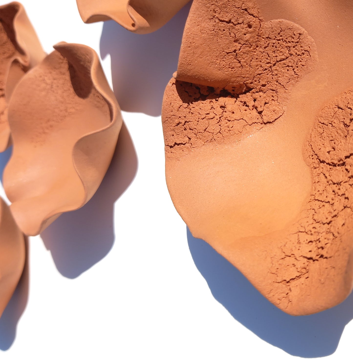 Large Terracotta Wall Art - Ceramic Installation - Organic Modern Sculpture Set - MADE TO ORDER