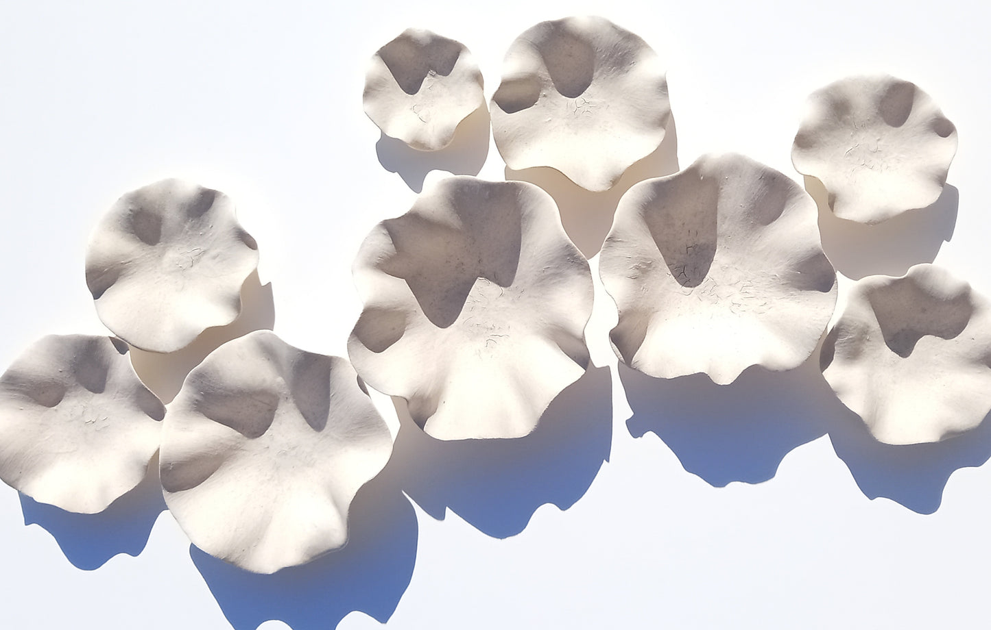 Ivory Porcelain Wall Art Sculptures with hangers - Ceramic Installation - Made to Order