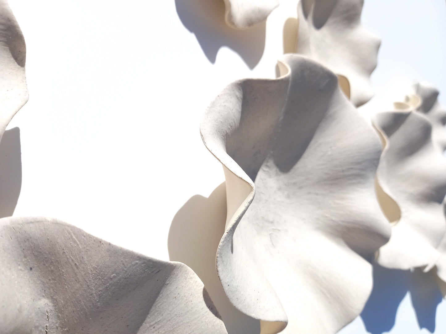 Ivory Porcelain Wall Art Sculptures with hangers - Ceramic Installation - Made to Order