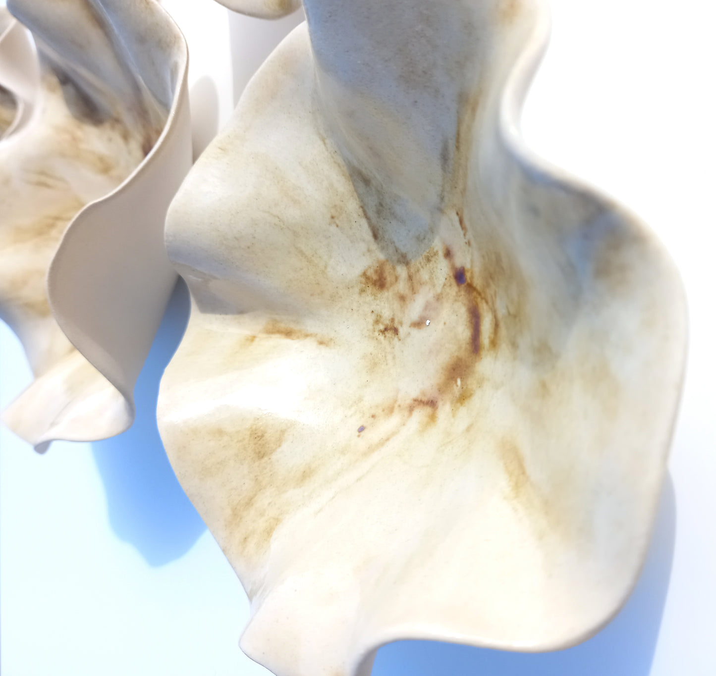 Ivory Bone Porcelain Tulip Wall Art Sculpture Set - Made to Order