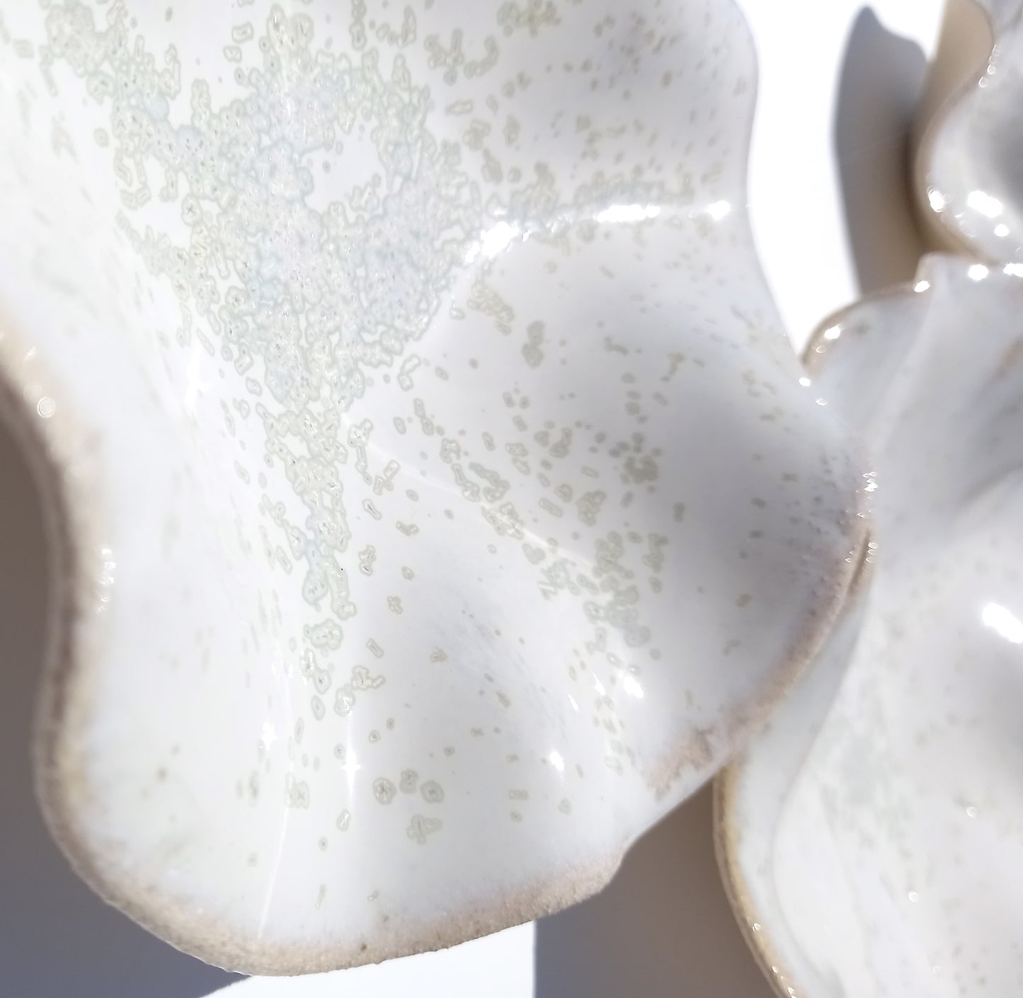 Alabaster White Porcelain Art Sculpture: Oatmeal Custom Ceramic Wall Decor, Made to Order