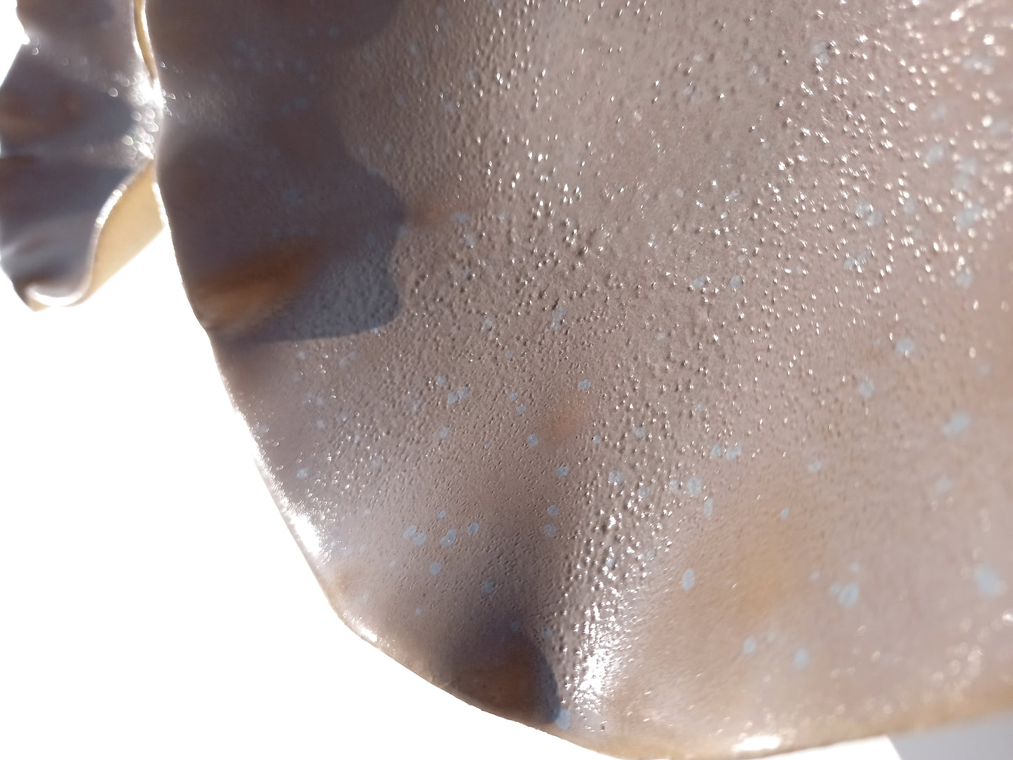 Mushroom Taupe Porcelain Art Sculpture: Speckled Ceramic Wall Decor, Made to Order