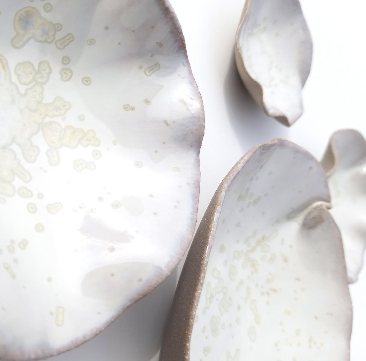 Oyster White Porcelain Art Sculpture: Soft Pearl White Ceramic Wall Decor, Made to Order