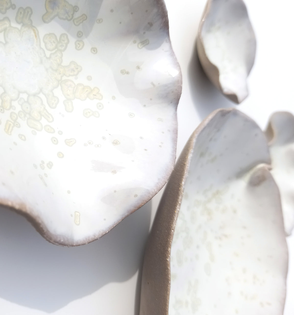 Oyster White Porcelain Art Sculpture: Soft Pearl White Ceramic Wall Decor, Made to Order