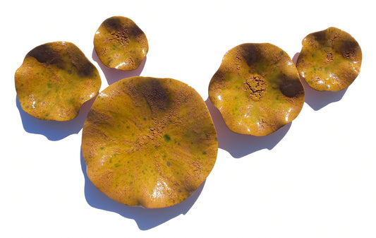 Mustard Terracotta Wall Art. Yellow Ochre Handmade Ceramic Tulip Sculpture Set, Made to Order