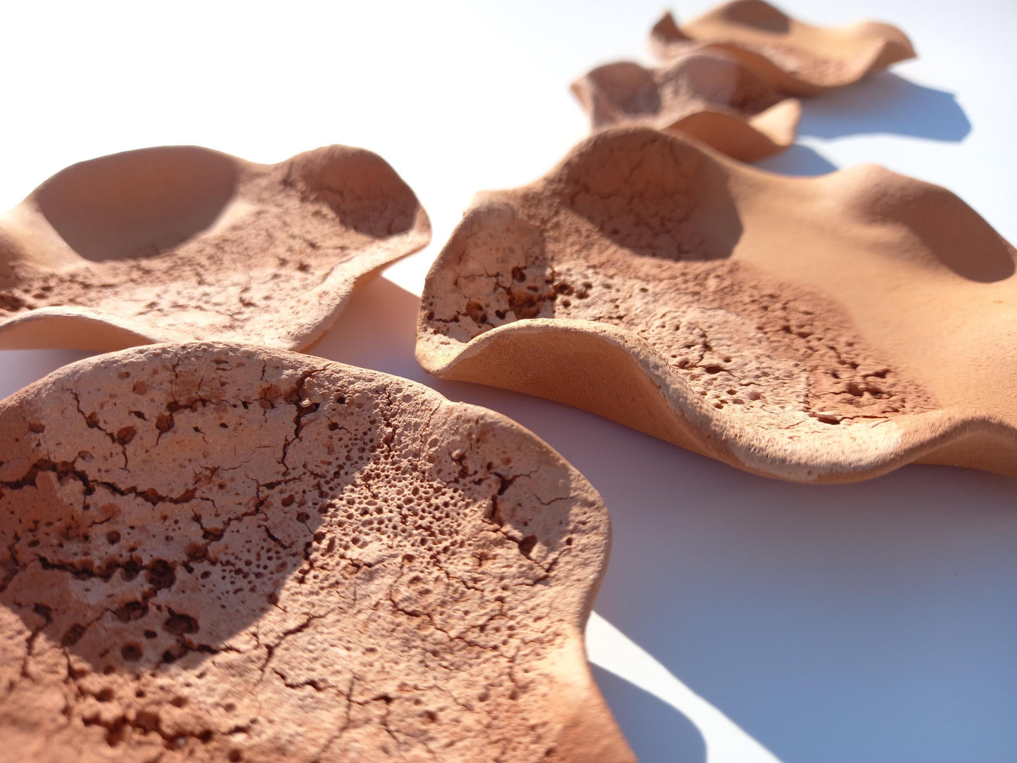 Beige & Terracotta Ceramic Flower Wall Art: Large Sculpture Set, Made to Order