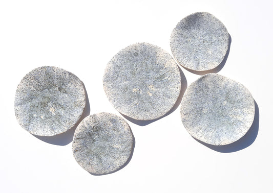 White, Blue & Beige Porcelain Wall Sculpture with Hangers - Organic Art Installation - Made to Order