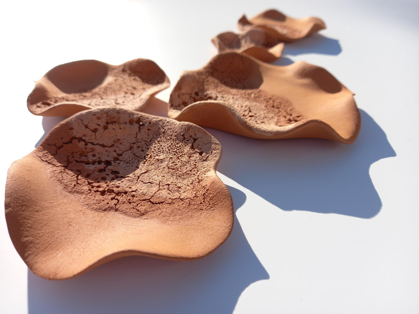 Beige & Terracotta Ceramic Flower Wall Art: Large Sculpture Set, Made to Order
