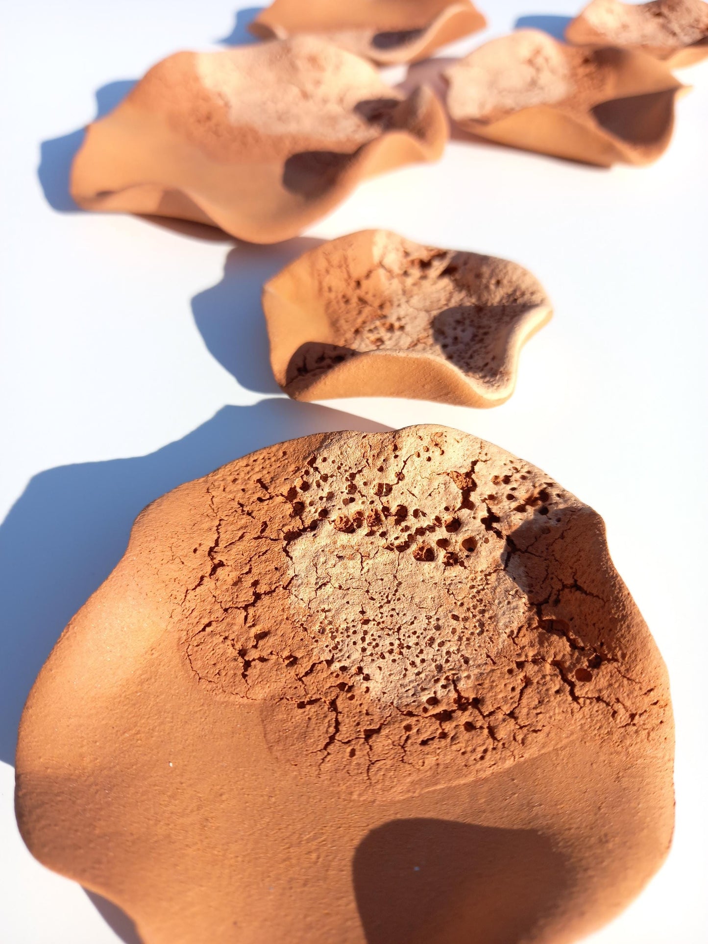 Beige & Terracotta Ceramic Flower Wall Art: Large Sculpture Set, Made to Order