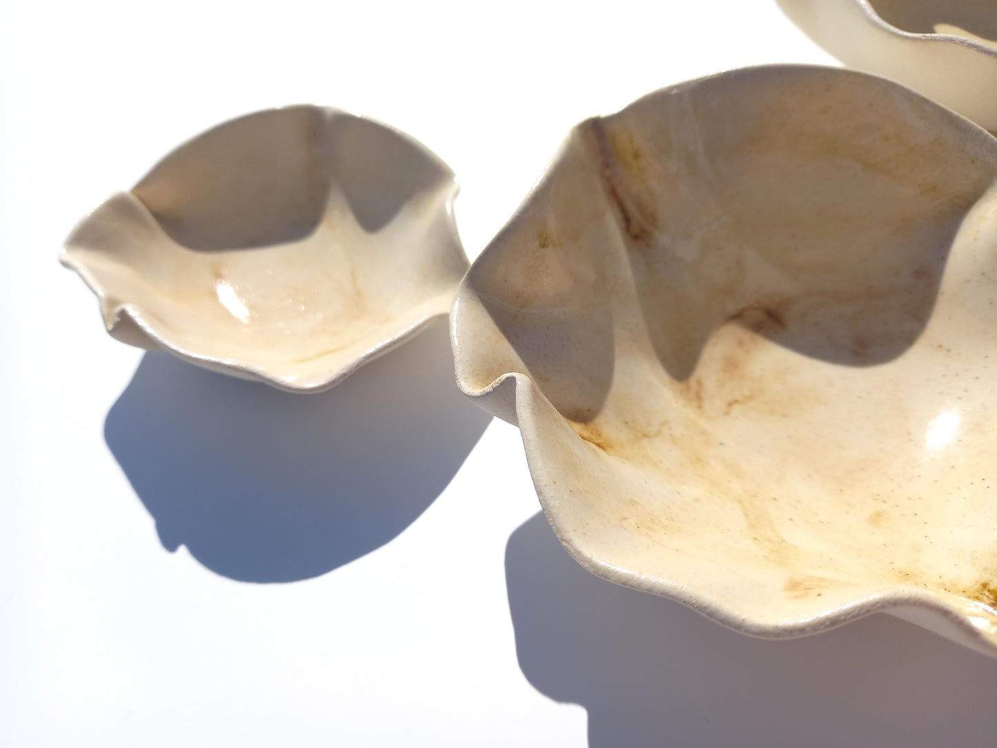 Ivory Bone Porcelain Tulip Wall Art Sculpture Set - Made to Order